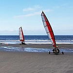 BB_BG_NL1