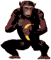 monkey-b